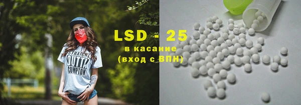 прущие грибы Нязепетровск