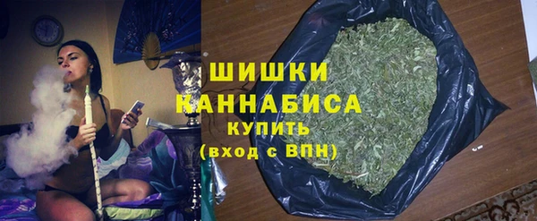 прущие грибы Нязепетровск