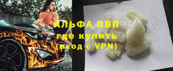 прущие грибы Нязепетровск