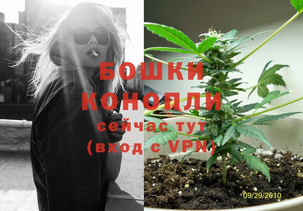 прущие грибы Нязепетровск