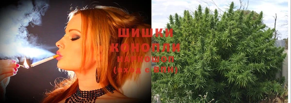 МДПВ Новозыбков