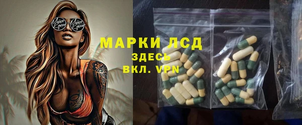 гашик Губаха