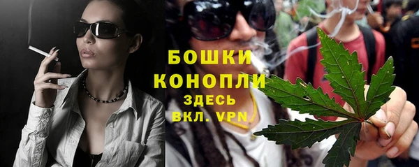 прущие грибы Нязепетровск