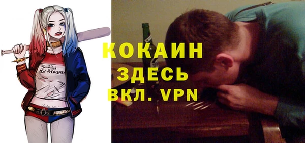 МДПВ Новозыбков