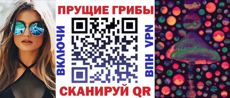Галлюциногенные грибы Psilocybe  купить  цена  Нюрба 